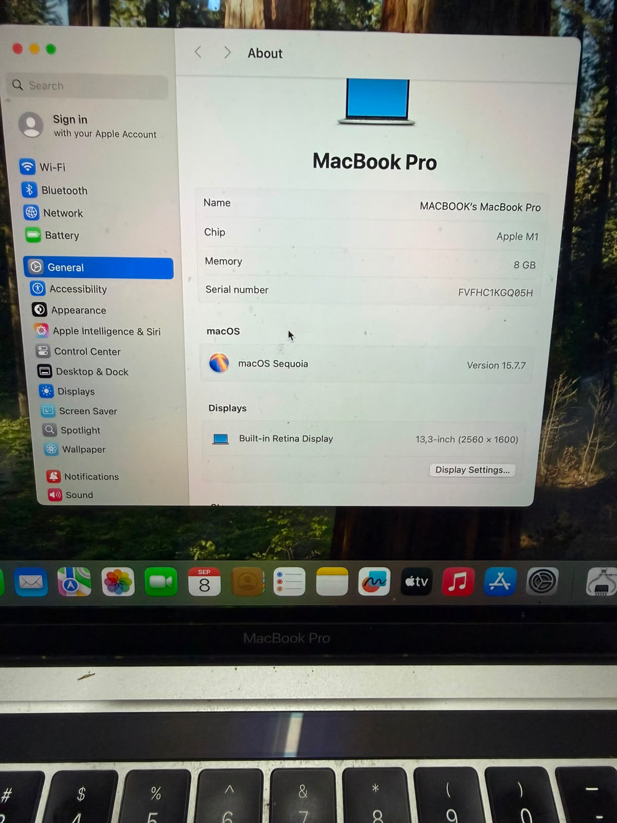 MacBook Pro system information and display details